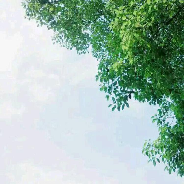 武井咲（饰 神谷熏） - 网络短剧全集在线观看 - 小程序视频